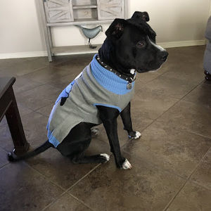 Meet your Posher, Norma